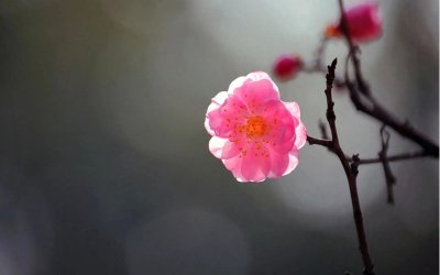 6条有趣的历史冷知识,知道了可以在饭桌上吹嘘