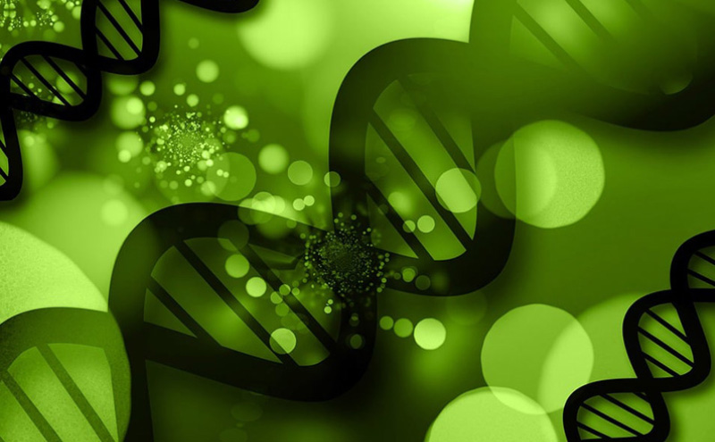 张国荣死后灵异事件（张国荣死亡真相令人毛骨悚然）