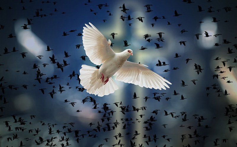 张国荣死后灵异事件（张国荣死亡真相令人毛骨悚然）