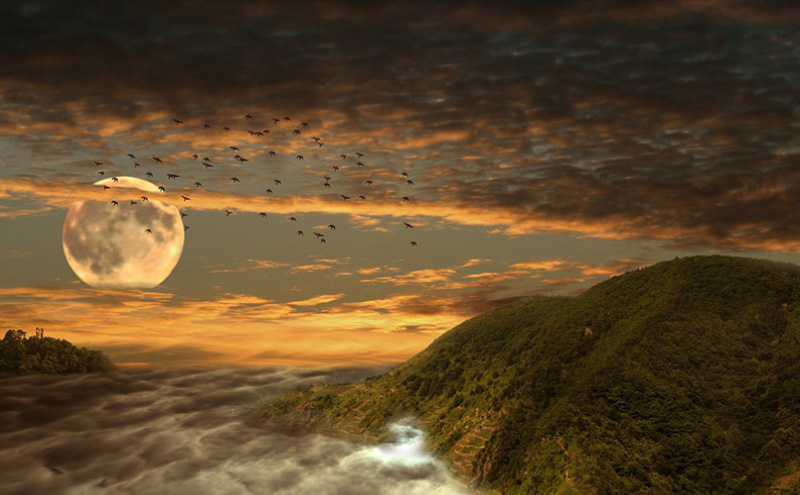 张国荣死后灵异事件（张国荣死亡真相令人毛骨悚然）