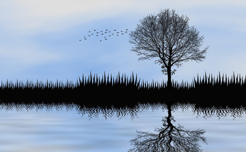 张国荣死后灵异事件（张国荣死亡真相令人毛骨悚然）