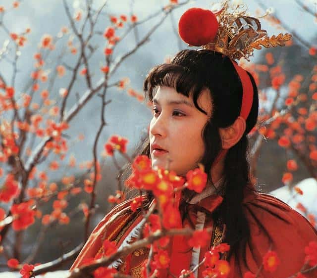 贾宝玉的通灵宝玉上镌刻着哪几个字(贾宝玉的玉)