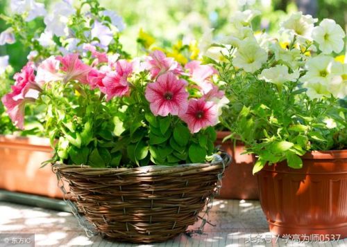 一进疼二进麻是什么谜底-第1张图片-