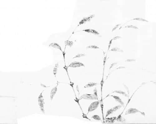 垂帘听政是从什么时候开始的(垂帘听政始于何时)