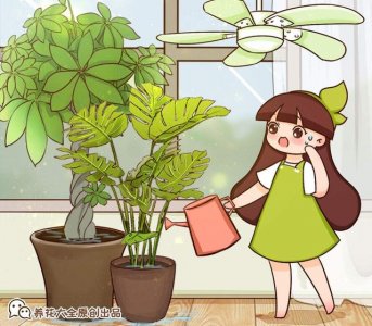 啥花放在室内净化空气好又好养(净化空气就养5种花)