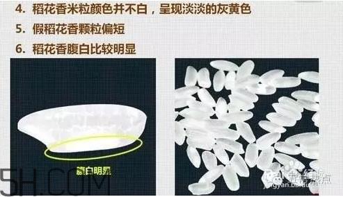 五常大米怎么辨别真假?五常大米和普通米的区别 五常大米怎么辨别真假?五常大米和普通米的区别
