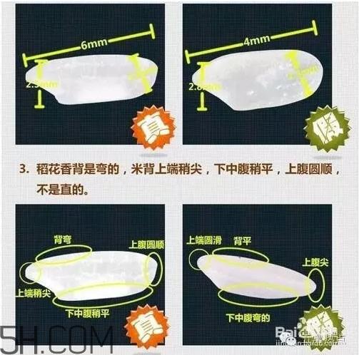 五常大米怎么辨别真假?五常大米和普通米的区别 五常大米怎么辨别真假?五常大米和普通米的区别