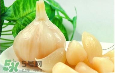 蒜头怎么腌制好吃?腌制咸蒜的正确方法 蒜头怎么腌制好吃?腌制咸蒜的正确方法