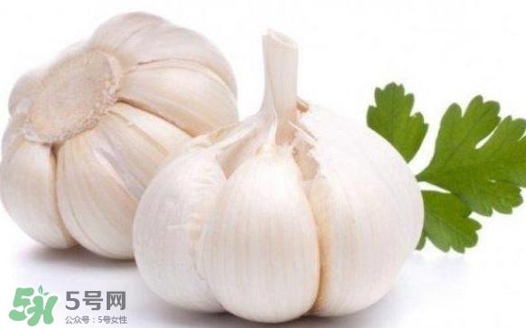 蒜头怎么腌制好吃?腌制咸蒜的正确方法 蒜头怎么腌制好吃?腌制咸蒜的正确方法