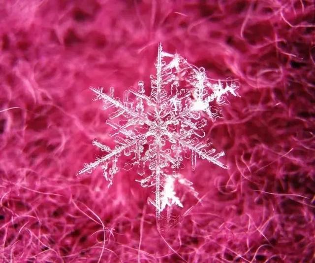 人生最现实的句子（人生情感语录）(5)