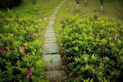 ​人生最现实的句子（人生情感语录）