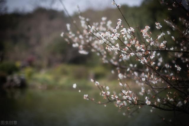 人生最现实的句子（人生情感语录）(2)