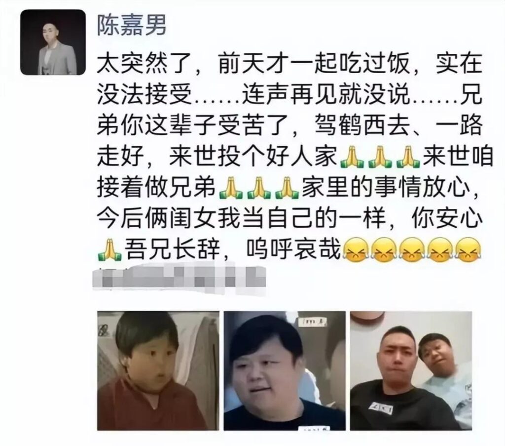 小龙人演员表_贝贝扮演者陈晨去世