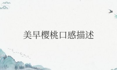 ​美早樱桃口感描述（美早樱桃的味道口感特点）
