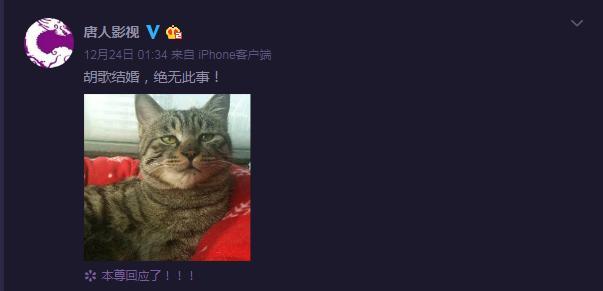 婚庆公司否认承办胡歌婚礼,这次结婚对象版本有点多