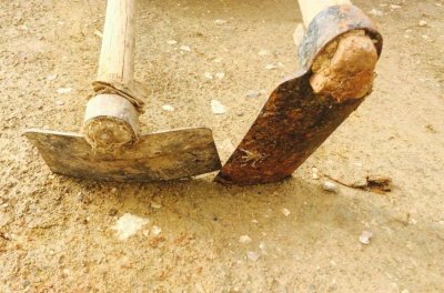 ​世界上最小的蛇是什么蛇图片（最小又可爱的蛇有多大）