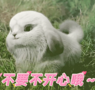 ​月出读什么？《长相思》中的朏朏、毛球历史原型是什么动物？