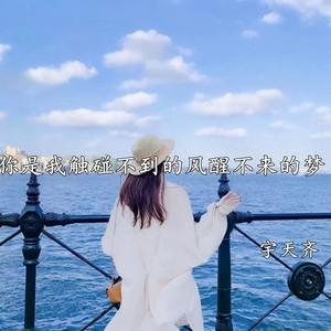 你是我触碰不到的风醒不来的梦什么歌(你是我触碰不到的风醒不来的梦歌名介绍)