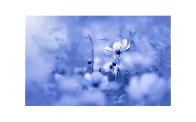 女朋友生日送什么礼物好?送女朋友最实用的礼物 女朋友生日送什么礼物好?送女朋友最实用的礼物