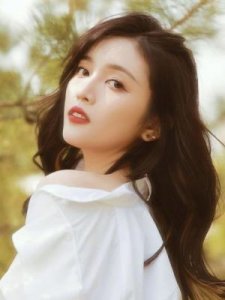 ​圆眼和杏眼的区别(圆眼和杏眼是一样的吗)