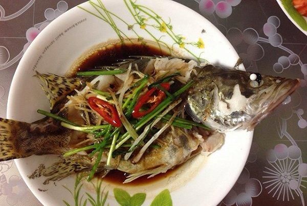 为什么煮出来的鲫鱼汤是苦的