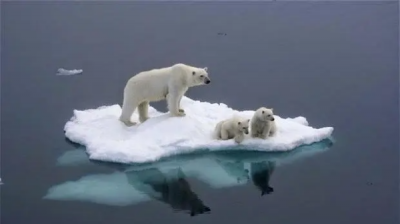 ​气候变暖的原因,全球气候变暖的主要原因是什么