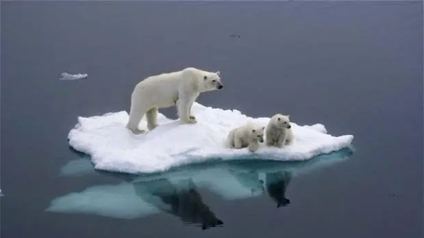 气候变暖的原因,全球气候变暖的主要原因是什么图1