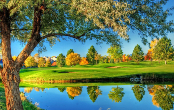 丁未年是哪一年,丁未年是哪一年图3