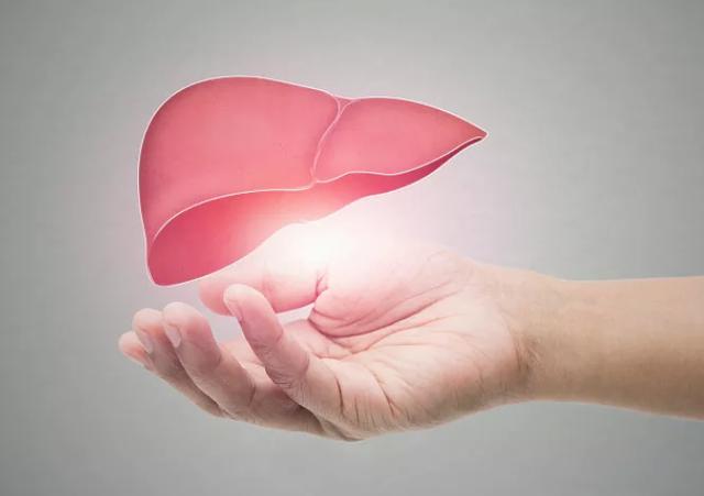 全国护肝日是每年的哪一天(全国爱肝日心肝宝贝)(1)