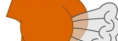 孕妇为什么总放屁(一直放屁是不是怀孕的征兆)