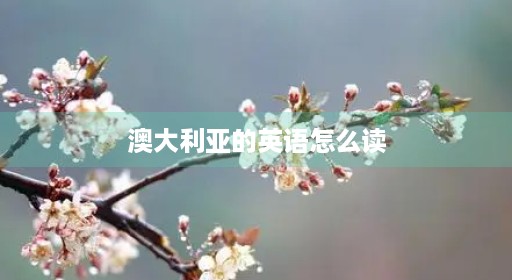 澳大利亚的英语怎么读