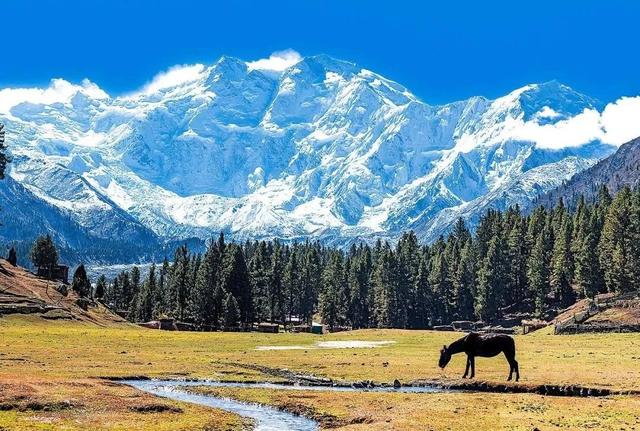 喜马拉雅山峰最新高度（10座8000米高峰汇聚于此）(6)