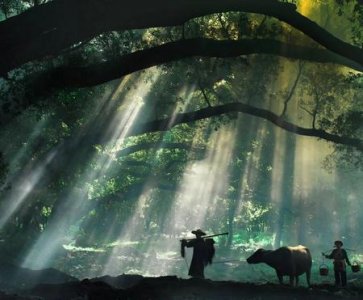 ​爱你的女人为什么彻底离开你(深爱自己的女人突然离开是什么感觉)