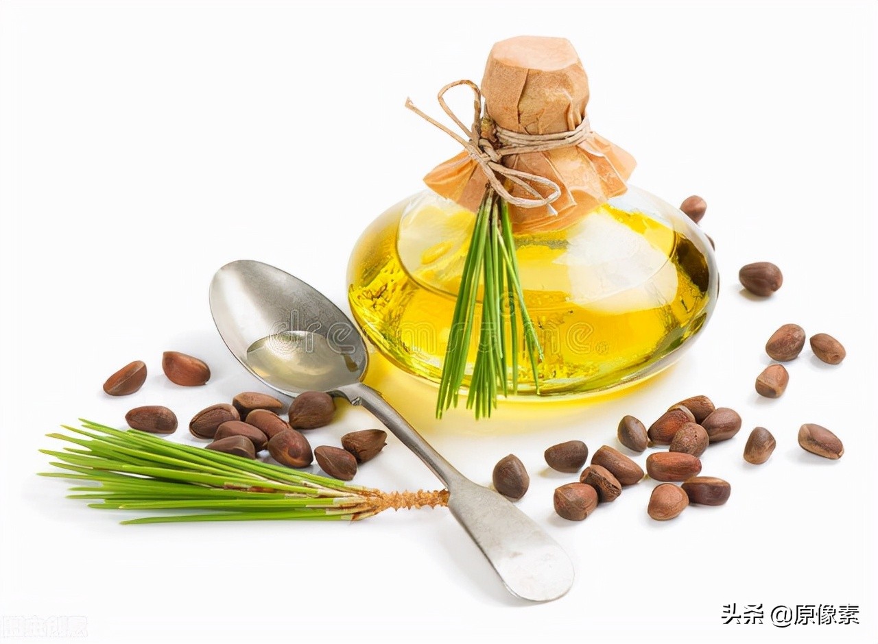 雪松的寓意是什么（树种的具体特征和功效介绍）