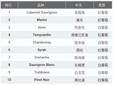 种植葡萄哪个品种最好(现在最火的葡萄品种)