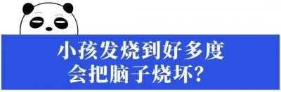 ​发烧的迷思：高烧到多少度会烧坏脑子？真相是…