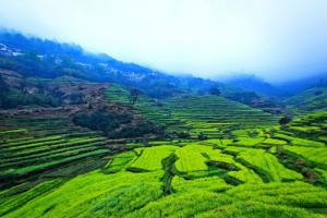 婺源在哪里属于哪个省（江西省上饶市“婺源县”概况）