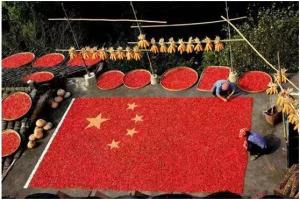 婺源在哪里属于哪个省（江西省上饶市“婺源县”概况）