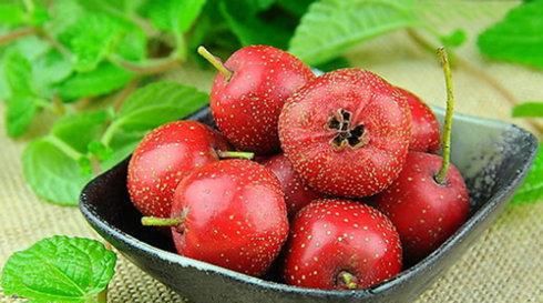 立冬吃什么水果养生