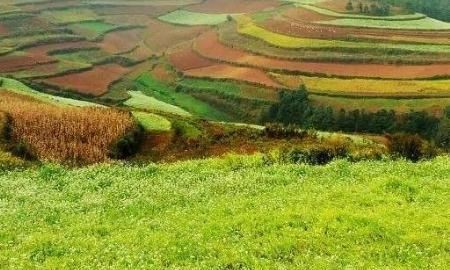 五一劳动节的名人名言，五一劳动节的名言名句6字？图9