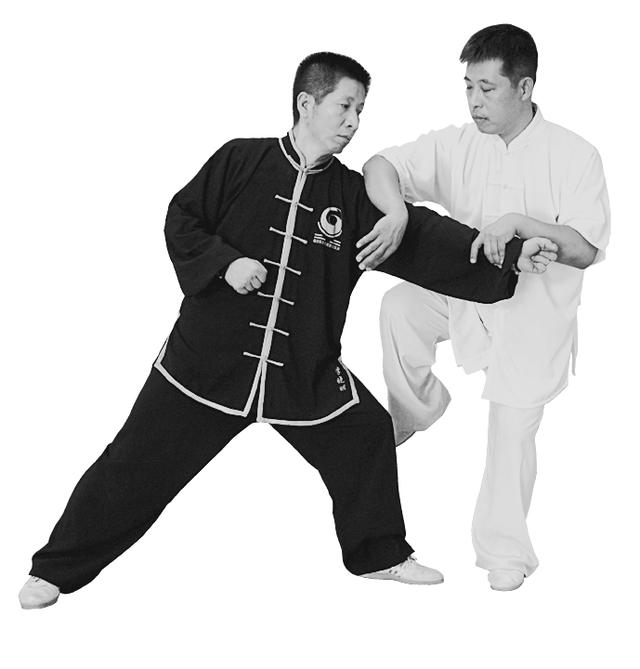 右野马分鬃动作图简易（想不到野马分鬃）(14)