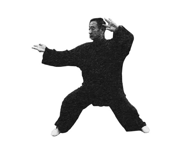 右野马分鬃动作图简易（想不到野马分鬃）(7)