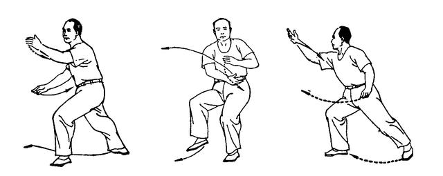 右野马分鬃动作图简易（想不到野马分鬃）(9)