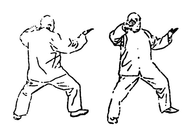 右野马分鬃动作图简易（想不到野马分鬃）(6)