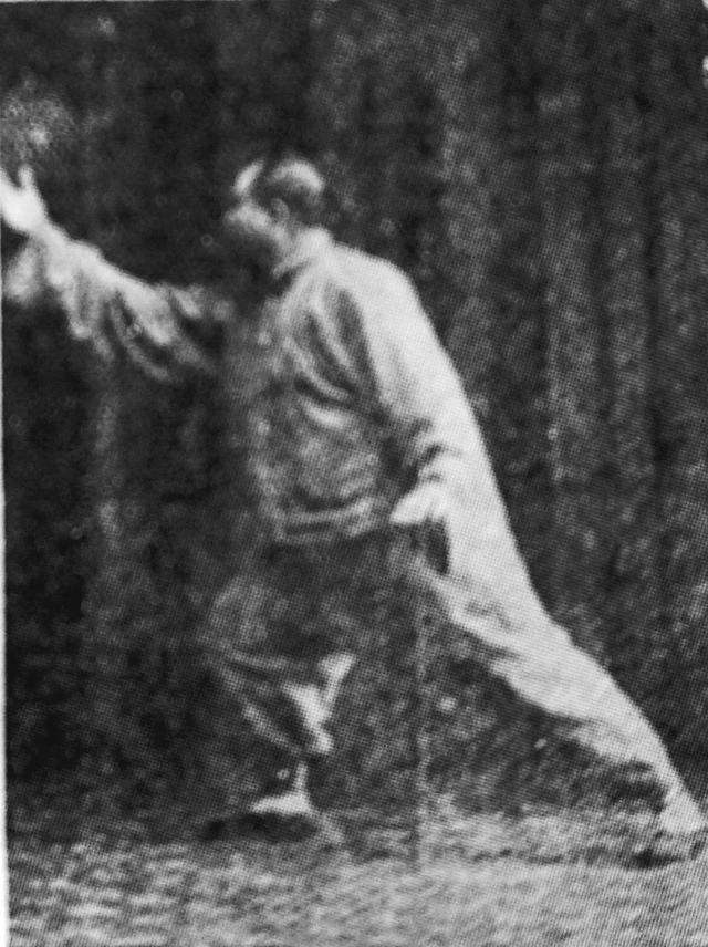 右野马分鬃动作图简易（想不到野马分鬃）(8)