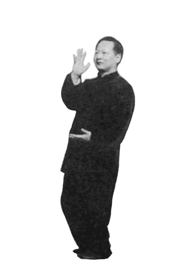 右野马分鬃动作图简易（想不到野马分鬃）(11)