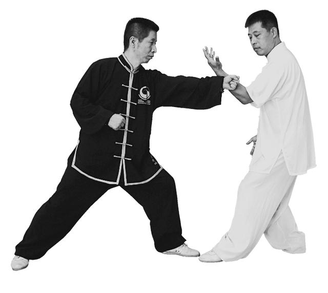 右野马分鬃动作图简易（想不到野马分鬃）(13)