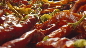 广府文化由来（广府文化发源地韶关）(9)