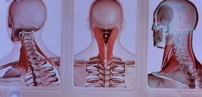 ​你听说过反骨么？你知道历史上哪些人是有反骨的人么？