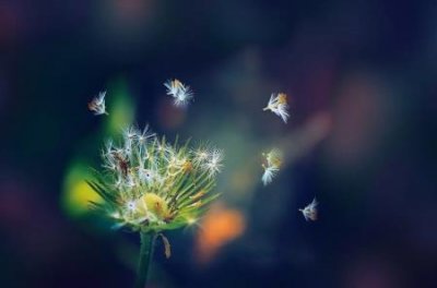 ​庄巧涵事件是何时不雅照是被人该设计了